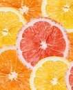 Citrus background Royalty Free Stock Photo
