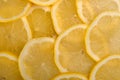 Citrus background. juicy slices of lemon