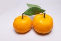 Oranges usually ripen in autumn