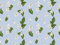 Citrus branches seamless pattern with flowers and leaves. Flower Royalty Free Stock Photo