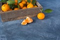 Citrus. Bright ripe tangerines with green leaves in a wooden bo Royalty Free Stock Photo