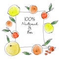 Ink and watercolor sketch citrus fruits rectangular banner on white background. Grapefruits, orange oranges, yellow Royalty Free Stock Photo