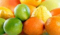 Citrus collection Royalty Free Stock Photo