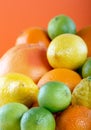 Citrus collection Royalty Free Stock Photo