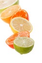 Citrus collection Royalty Free Stock Photo