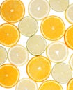 Citrus collection Royalty Free Stock Photo