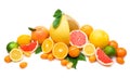 Citrus collection Royalty Free Stock Photo