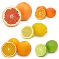 The citrus collection Royalty Free Stock Photo