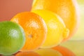 Citrus collection Royalty Free Stock Photo