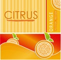 Citrus design