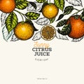 Citrus design templete. Hand drawn vector colour fruit illustration on dark background. Engraved style banner. Vintage citrus