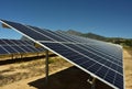 A citrus farm running totally on green solar energy