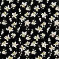 Citrus flowers seamless pattern with flowers and buds of citrus