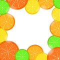 Citrus frame Royalty Free Stock Photo