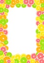 Citrus frame, border with space for text or photo. Summer print composed of yellow lemon, green lime, pink grapefruit and orange o