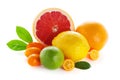 Citrus fresh fruit on white background