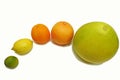 Citrus fresh fruits Royalty Free Stock Photo