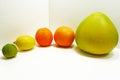 Citrus fresh fruits Royalty Free Stock Photo