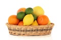 Citrus Fruit Royalty Free Stock Photo
