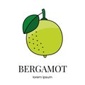 Citrus fruit bergamot, line icon in vector to indicate on food packaging about the presence of this allergen