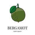 Citrus fruit bergamot, line icon in vector to indicate on food packaging about the presence of this allergen