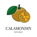 Citrus fruit calamondin, depicted as a vector line icon for food allergen alerts on packaging.