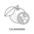 Citrus fruit calamondin, depicted as a vector line icon for food allergen alerts on packaging.