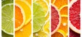 Citrus fruit collage divided with white vertical lines, 7 segments, bright white light