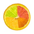 Citrus fruit. Collage of orange, lemon, lime, grapefruit slices Royalty Free Stock Photo