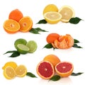 Citrus Fruit Collection