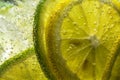 Citrus fruit. Fresh lemon and lime slice with mint leaves in cold water with bubbles. Clean eating, weight loss, healthy lifestyle Royalty Free Stock Photo
