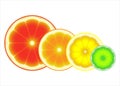 Citrus fruit fresh ripe sliced symbol