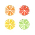 Citrus fruit icon symbol set Royalty Free Stock Photo