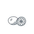 citrus fruit icon vector from food hand drawn concept. Thin line illustration of citrus fruit editable stroke. citrus fruit linear Royalty Free Stock Photo