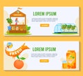 Citrus fruit juice product vector illustration, cartoon flat orange trees growing in greenhouse, fruit lemonade selling