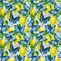 Citrus fruit lemons with green leaves, flowers and blue butterfly. Hand drawn watercolor painting. seamless pattern Royalty Free Stock Photo