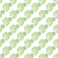 Citrus fruit and minty leaves vector seamless pattern background. Retro green white backdrop with mint lemonade