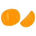Citrus fruit orange healthy vitamin isolated on white vector illustration. Juicy natural product half fresh organic food Royalty Free Stock Photo