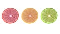 Citrus fruit. Orange, lemon, lime. Slices isolated on white background. Royalty Free Stock Photo