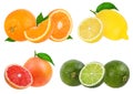 Citrus Fruit Set orange, grapefruit, lime, lemon isolated Royalty Free Stock Photo