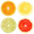 Citrus Fruit Set orange, grapefruit, lime, lemon isolated on white Royalty Free Stock Photo