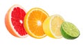 Citrus Fruit Set orange, grapefruit, lime, lemon isolated on white Royalty Free Stock Photo