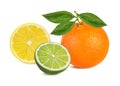 Citrus Fruit Set orange, lime, lemon isolated on white Royalty Free Stock Photo