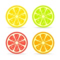 Citrus fruit slice vector icon