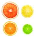 Citrus fruit slices isolated Royalty Free Stock Photo