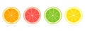 Citrus fruit slices of orange, grapefruit, lime and lemon isolated on white background Royalty Free Stock Photo