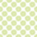 Citrus fruit vector seamless pattern background. Light green white backdrop with round slices of lime or lemon. Hand Royalty Free Stock Photo