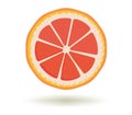 Citrus fruit.Vitamin C.Vector illustration of bright fresh ripe juicy grapefruit slice with a shadow isolated on a white Royalty Free Stock Photo