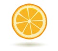 Citrus fruit. Vitamin C. Vector illustration of fresh ripe juicy orange slice with a shadow isolated on a white Royalty Free Stock Photo