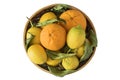 Citrus fruit on white, clipping path included